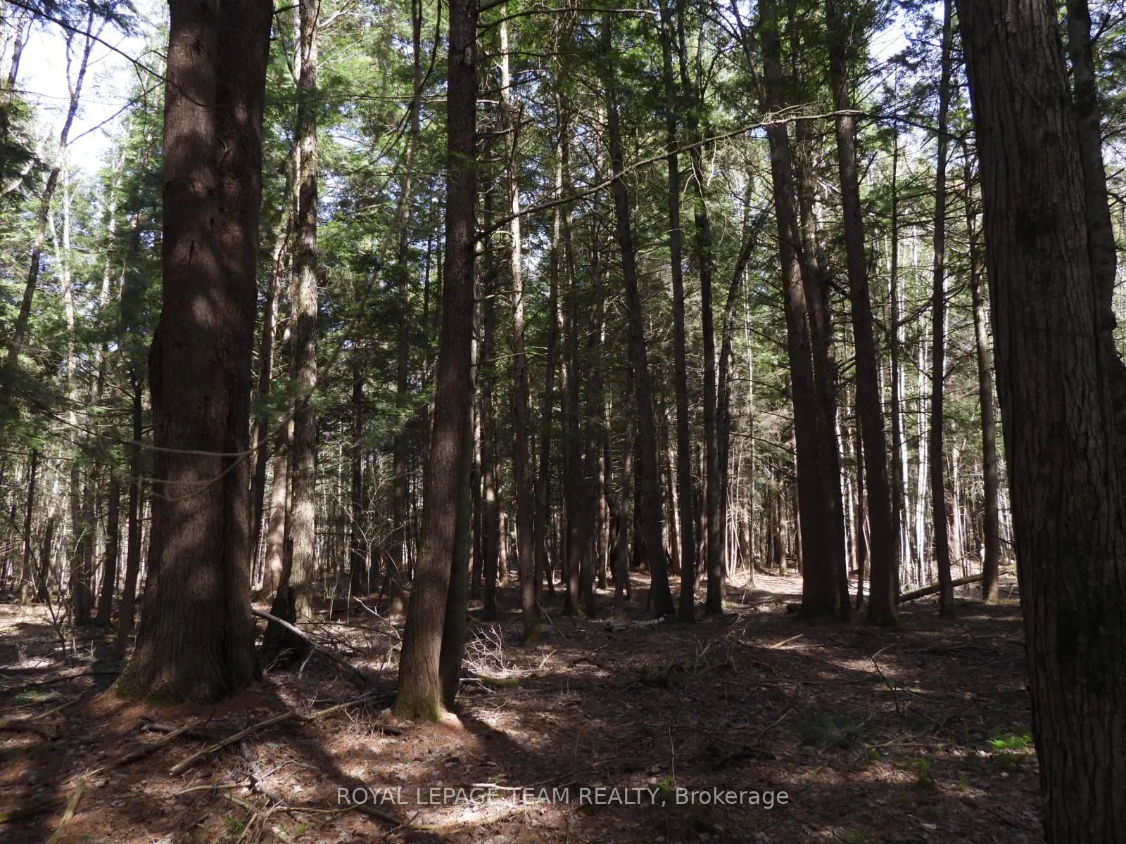Photo 45 of 0001 Galetta Side Road, Ottawa, Woodlawn/Maclarens Landing/Kilmaurs — HOMEH