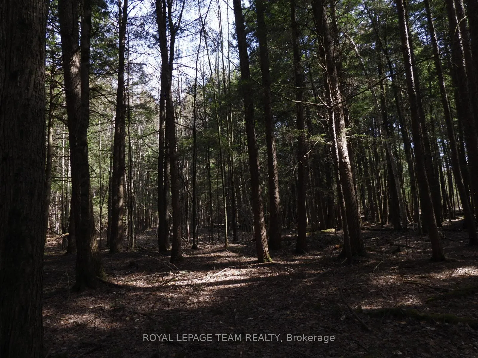 Photo 46 of 0001 Galetta Side Road, Ottawa, Woodlawn/Maclarens Landing/Kilmaurs — HOMEH