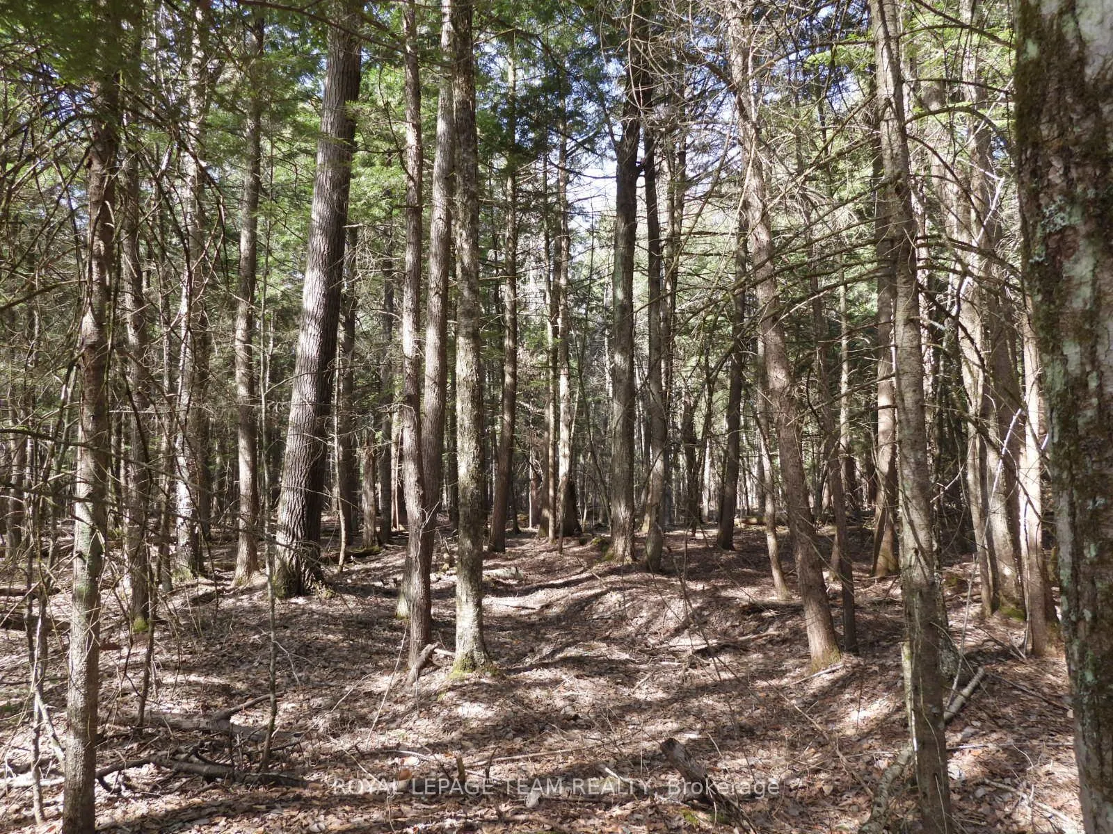 Photo 47 of 0001 Galetta Side Road, Ottawa, Woodlawn/Maclarens Landing/Kilmaurs — HOMEH