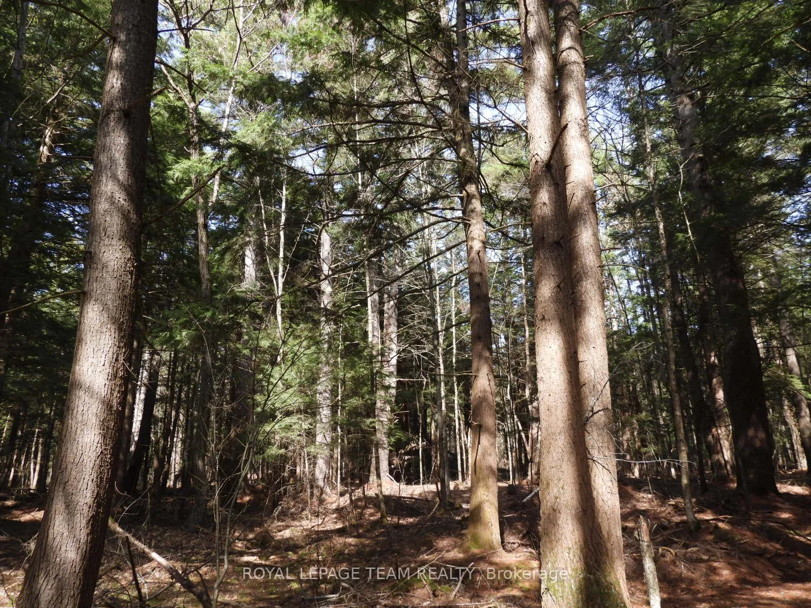Photo 48 of 0001 Galetta Side Road, Ottawa, Woodlawn/Maclarens Landing/Kilmaurs — HOMEH