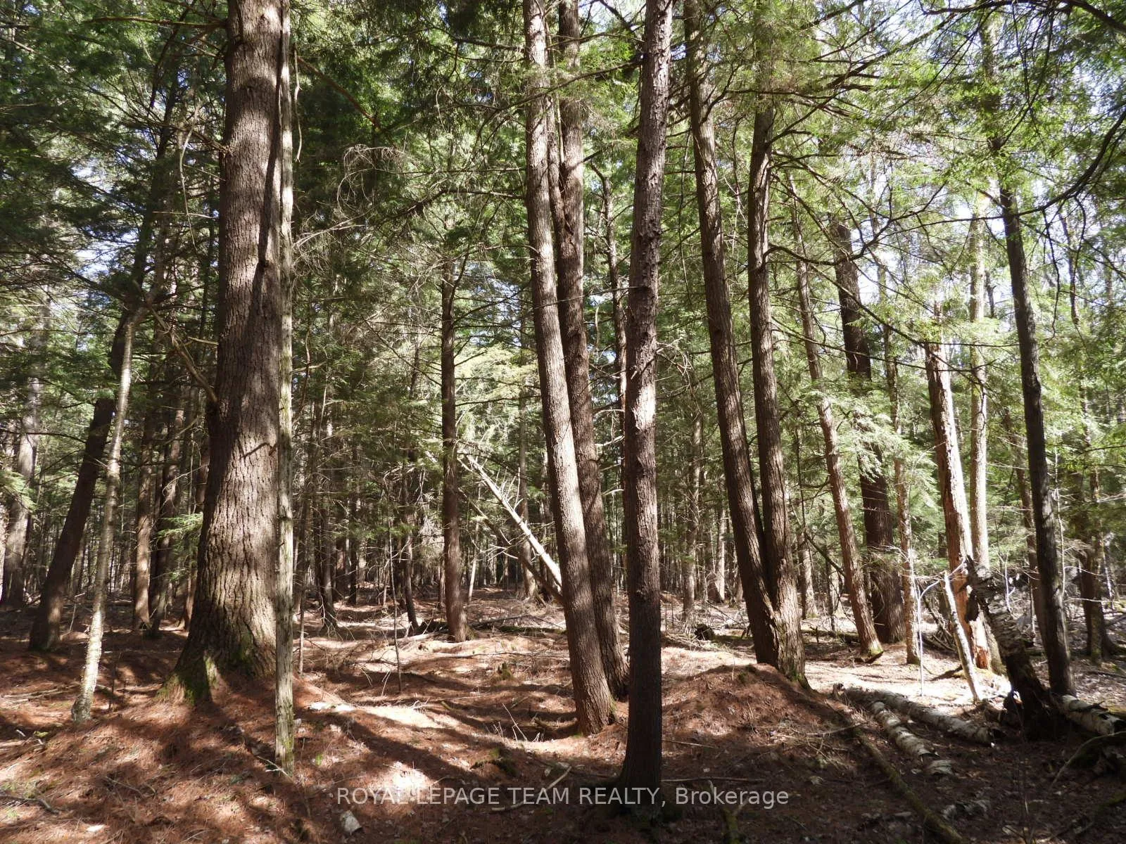Photo 49 of 0001 Galetta Side Road, Ottawa, Woodlawn/Maclarens Landing/Kilmaurs — HOMEH