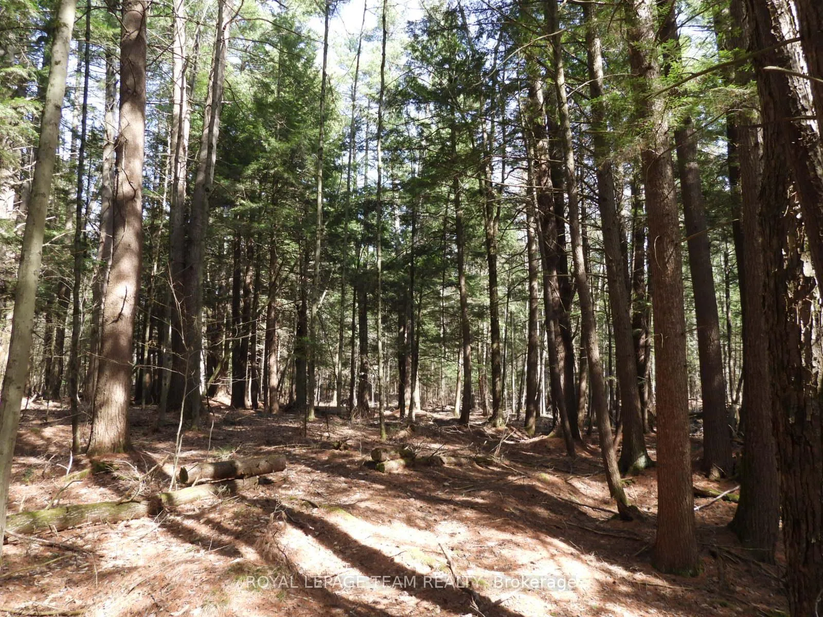 Photo 50 of 0001 Galetta Side Road, Ottawa, Woodlawn/Maclarens Landing/Kilmaurs — HOMEH