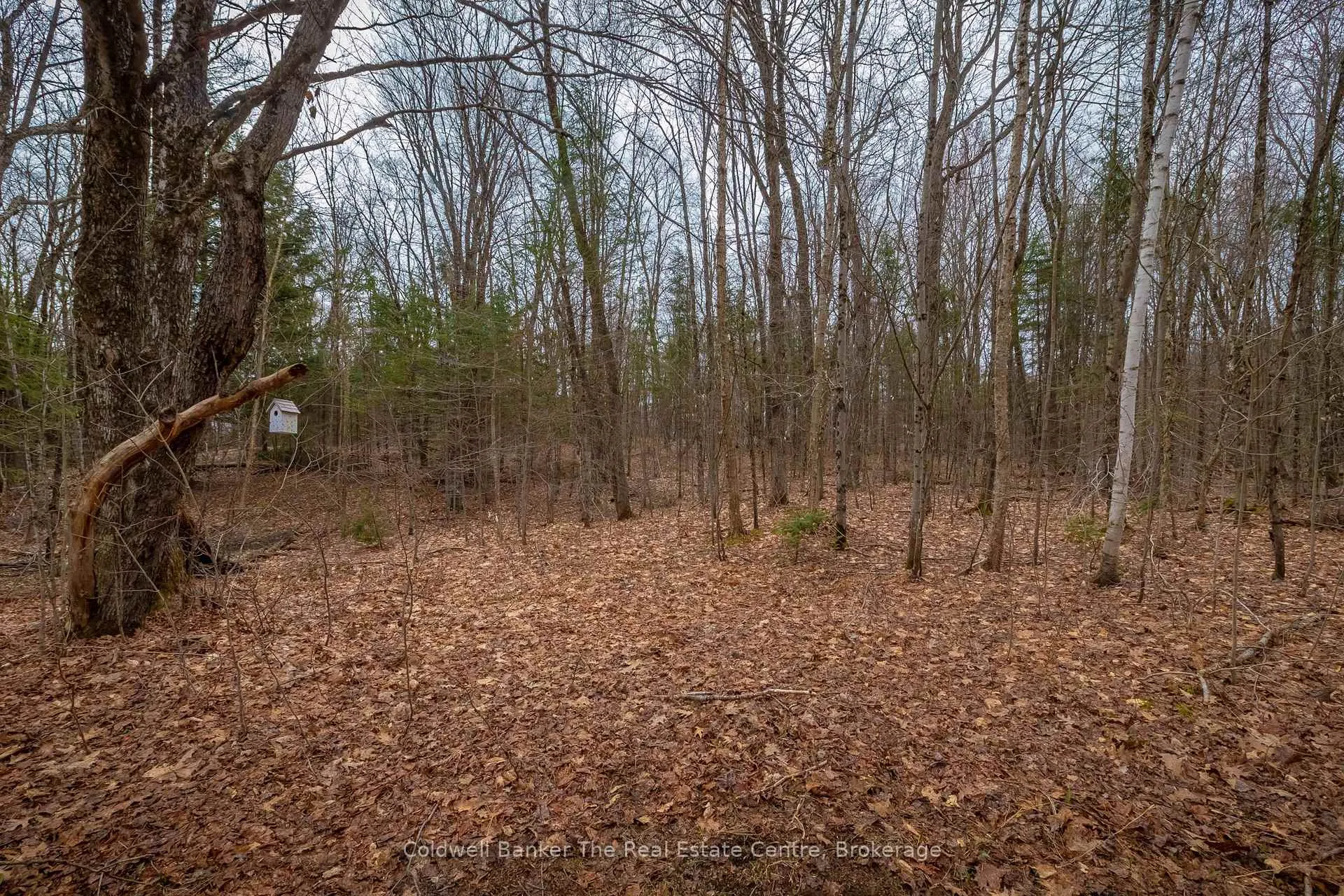 Photo 34 of 3016 118 Highway, Bracebridge, Oakley — HOMEH