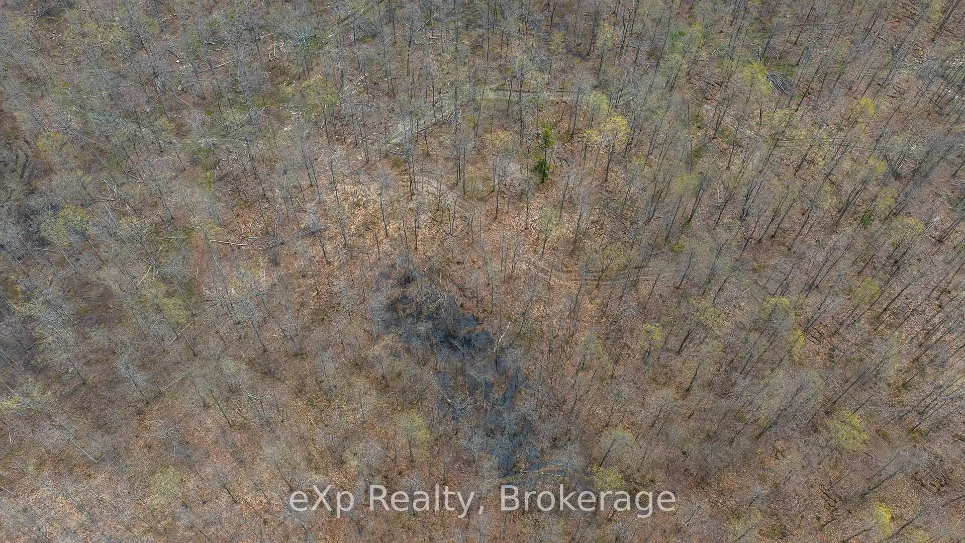 Photo 34 of LOT 15 Conc 3, Meaford — HOMEH