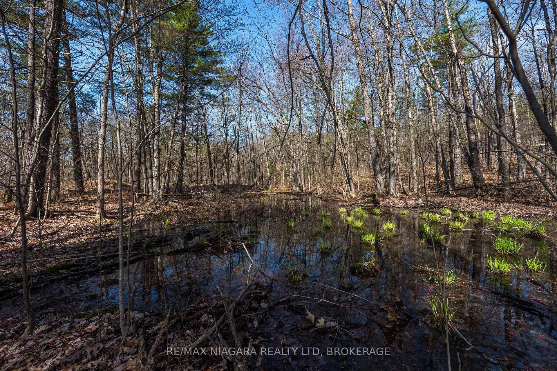 Photo 20 of 127 Oak Shores Lane, Frontenac, Frontenac South — HOMEH