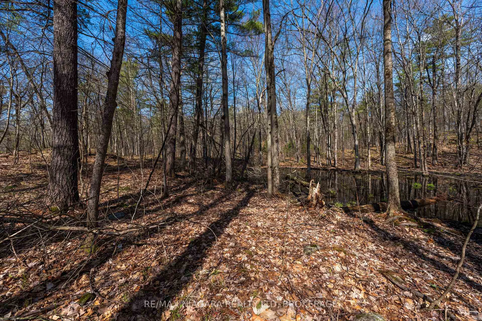 Photo 21 of 127 Oak Shores Lane, Frontenac, Frontenac South — HOMEH