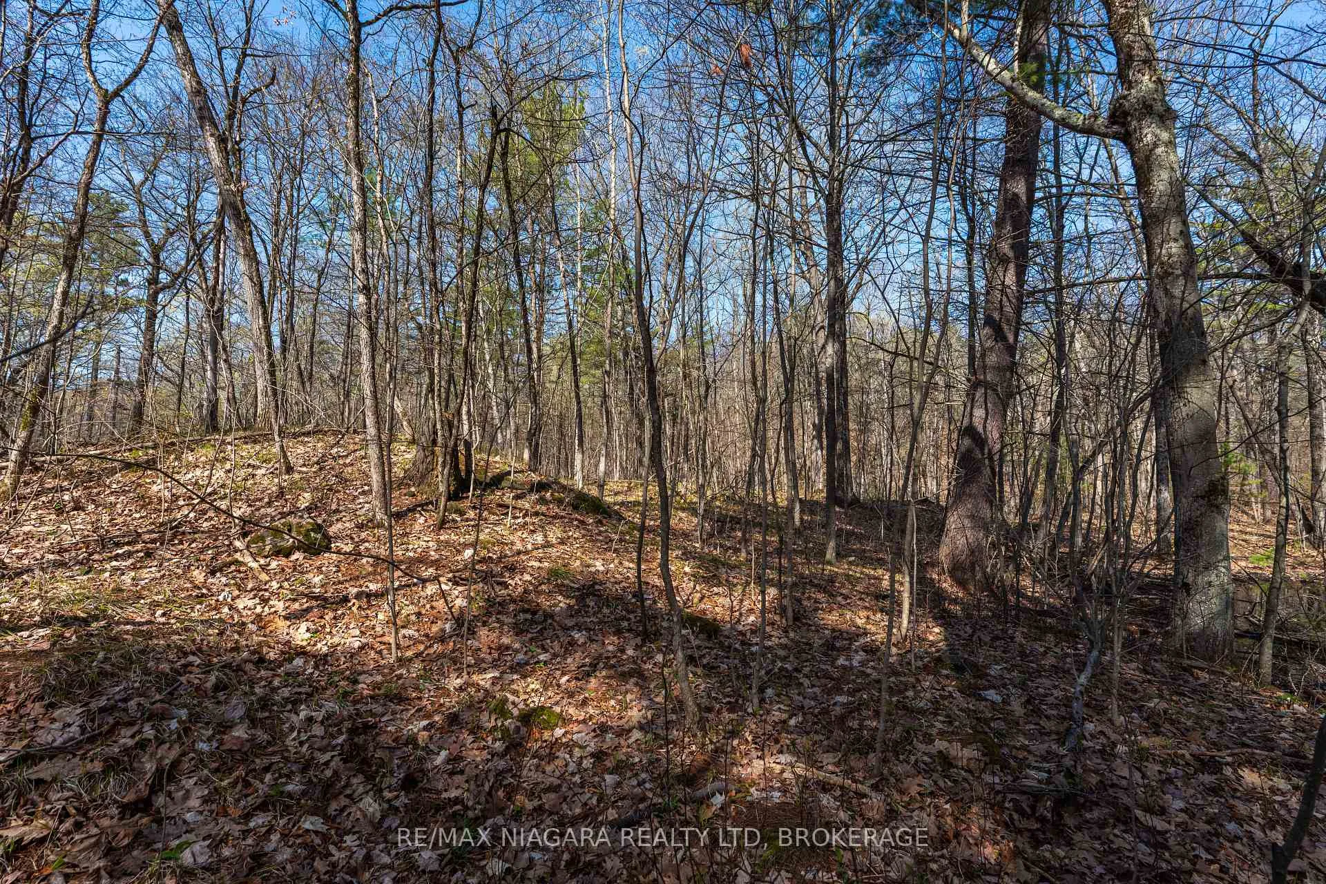 Photo 22 of 127 Oak Shores Lane, Frontenac, Frontenac South — HOMEH