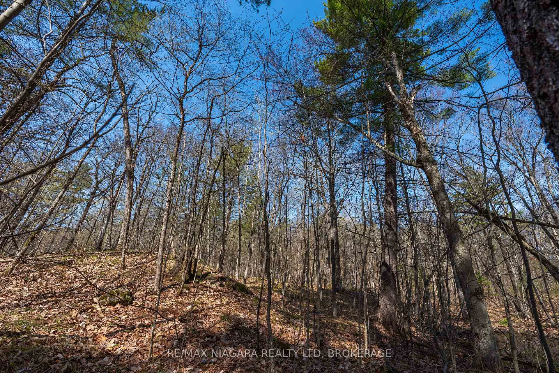 Photo 23 of 127 Oak Shores Lane, Frontenac, Frontenac South — HOMEH