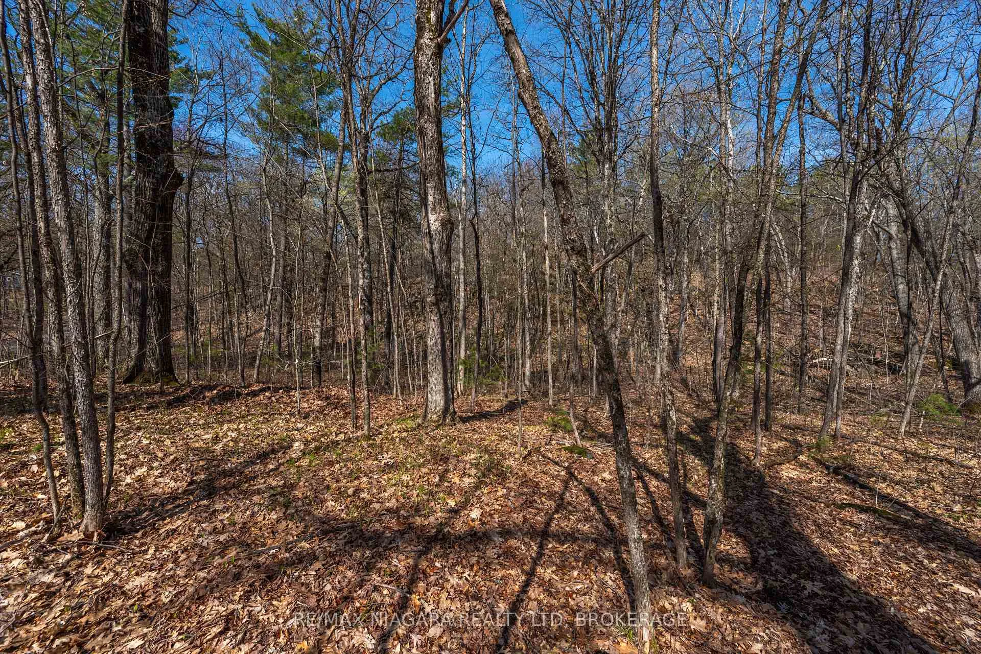 Photo 26 of 127 Oak Shores Lane, Frontenac, Frontenac South — HOMEH