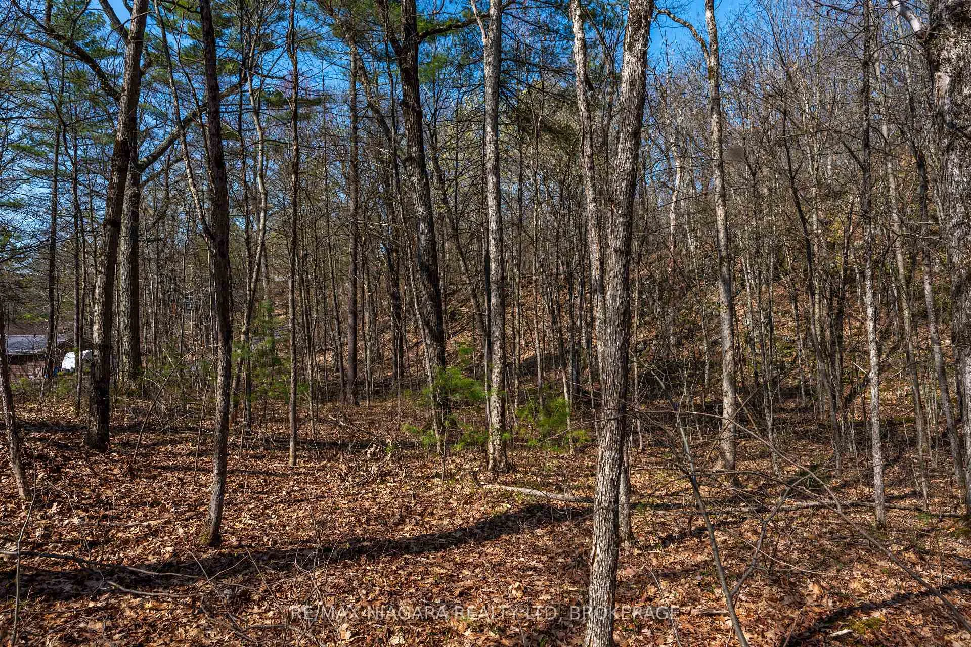 Photo 27 of 127 Oak Shores Lane, Frontenac, Frontenac South — HOMEH