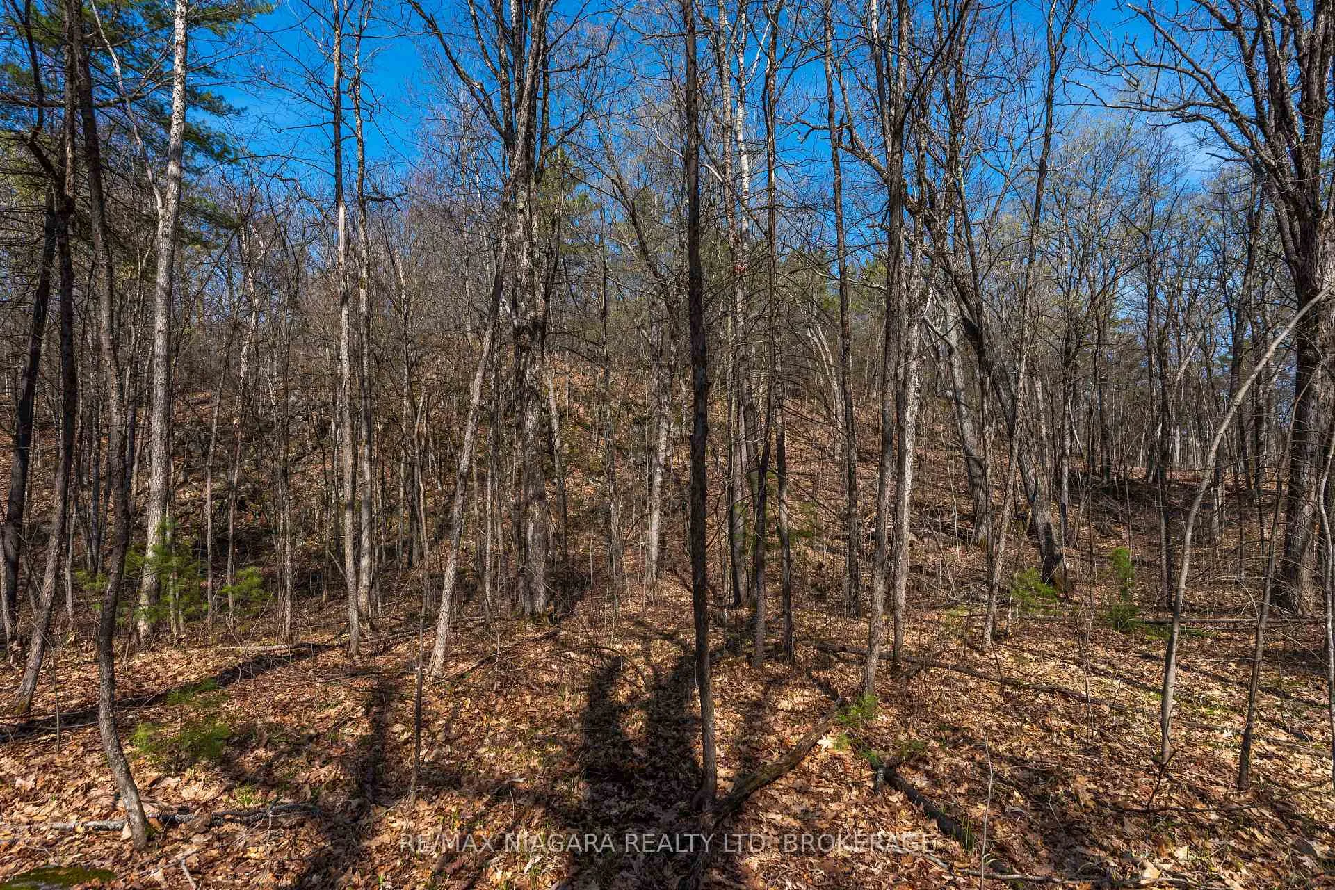 Photo 31 of 127 Oak Shores Lane, Frontenac, Frontenac South — HOMEH