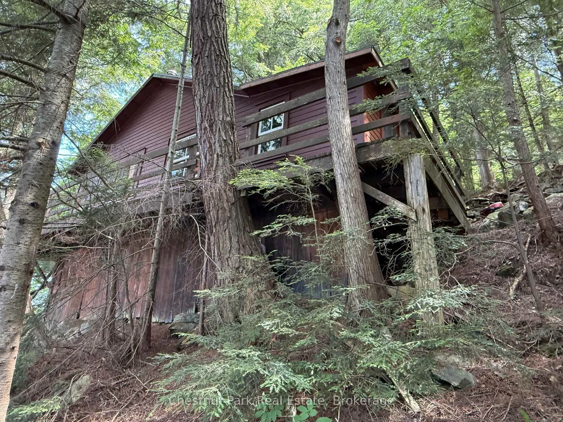 Photo 5 of Unit APL1136E, 19 Cache Lake, South Algonquin — HOMEH