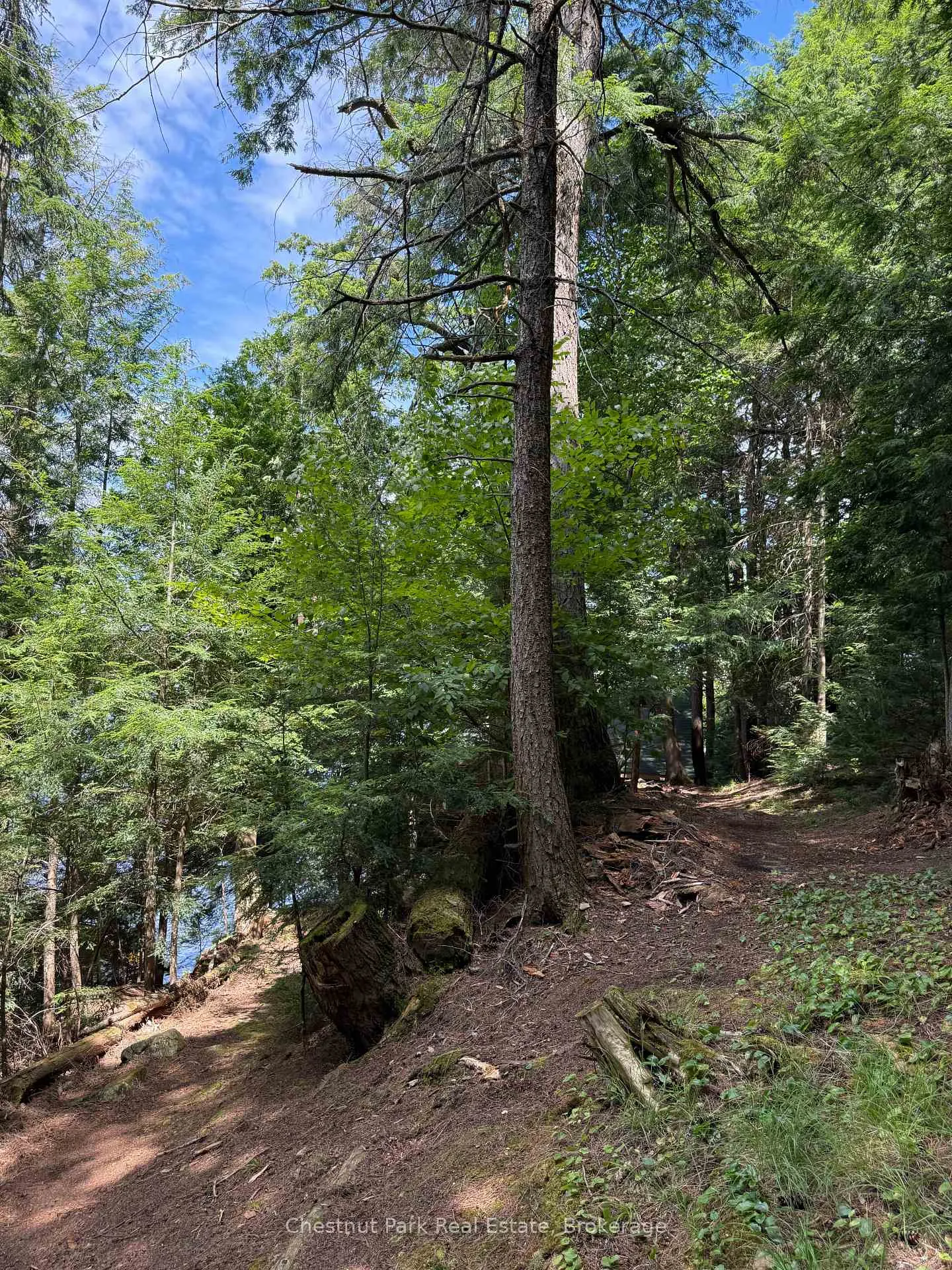 Photo 33 of Unit APL1136E, 19 Cache Lake, South Algonquin — HOMEH