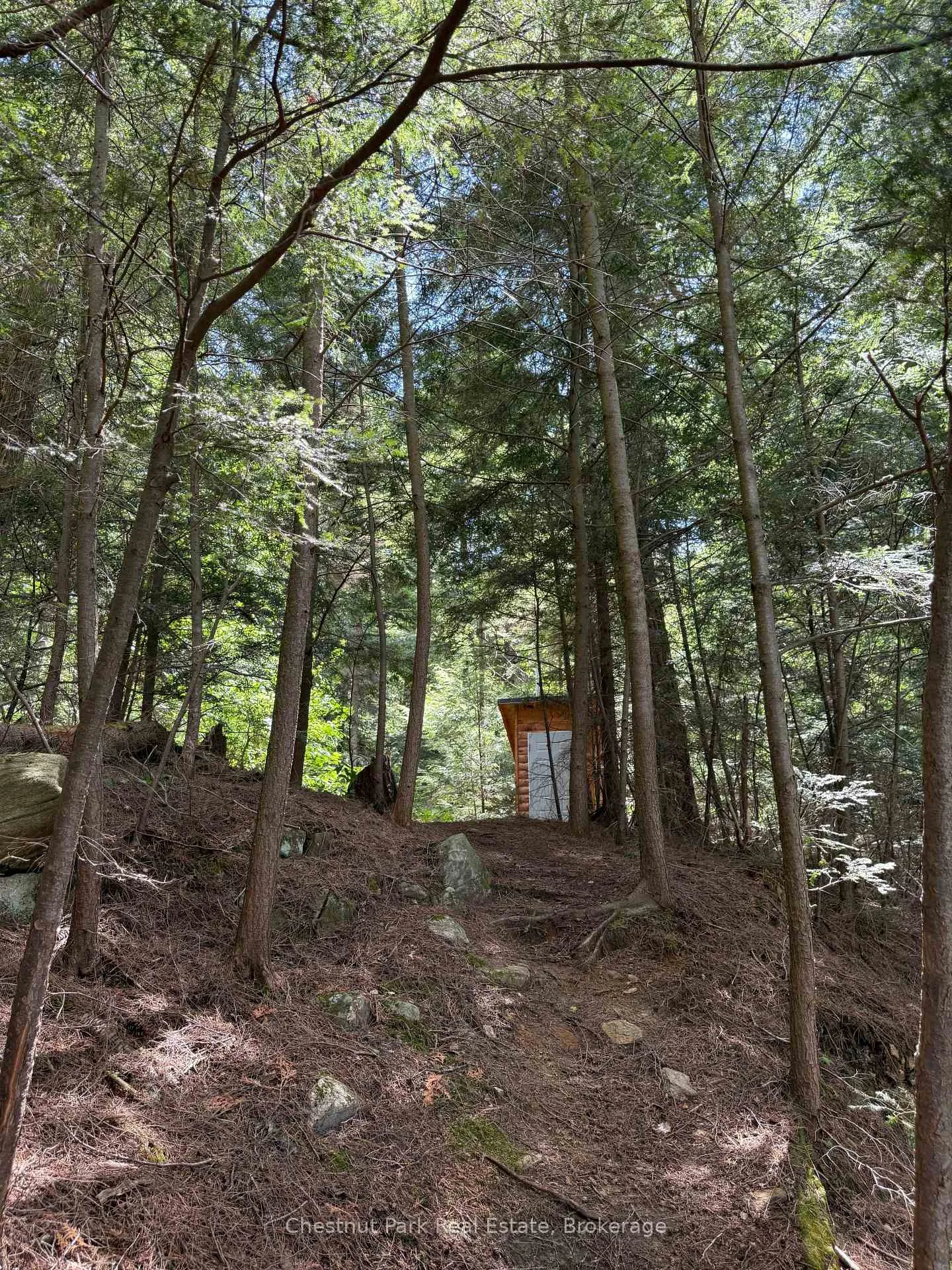 Photo 35 of Unit APL1136E, 19 Cache Lake, South Algonquin — HOMEH