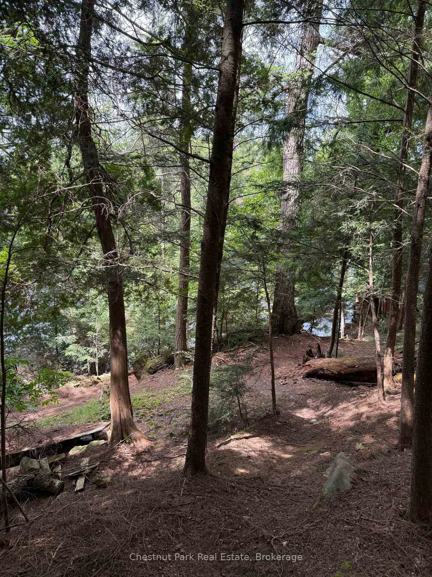 Photo 38 of Unit APL1136E, 19 Cache Lake, South Algonquin — HOMEH