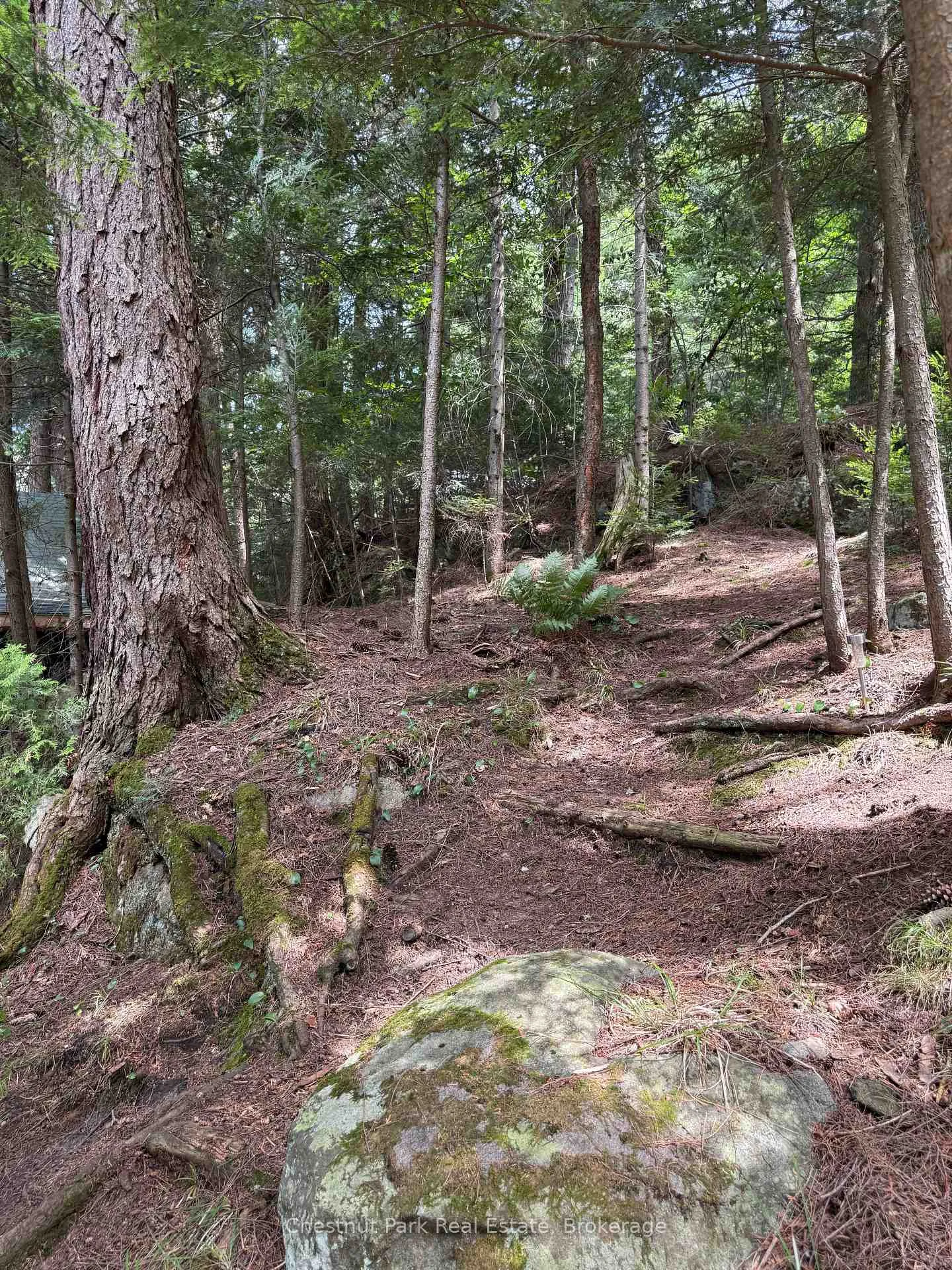 Photo 39 of Unit APL1136E, 19 Cache Lake, South Algonquin — HOMEH