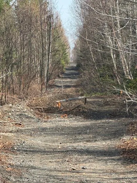 Photo 3 of 164 Riding Stable Road, West Nipissing, Sturgeon Falls — HOMEH