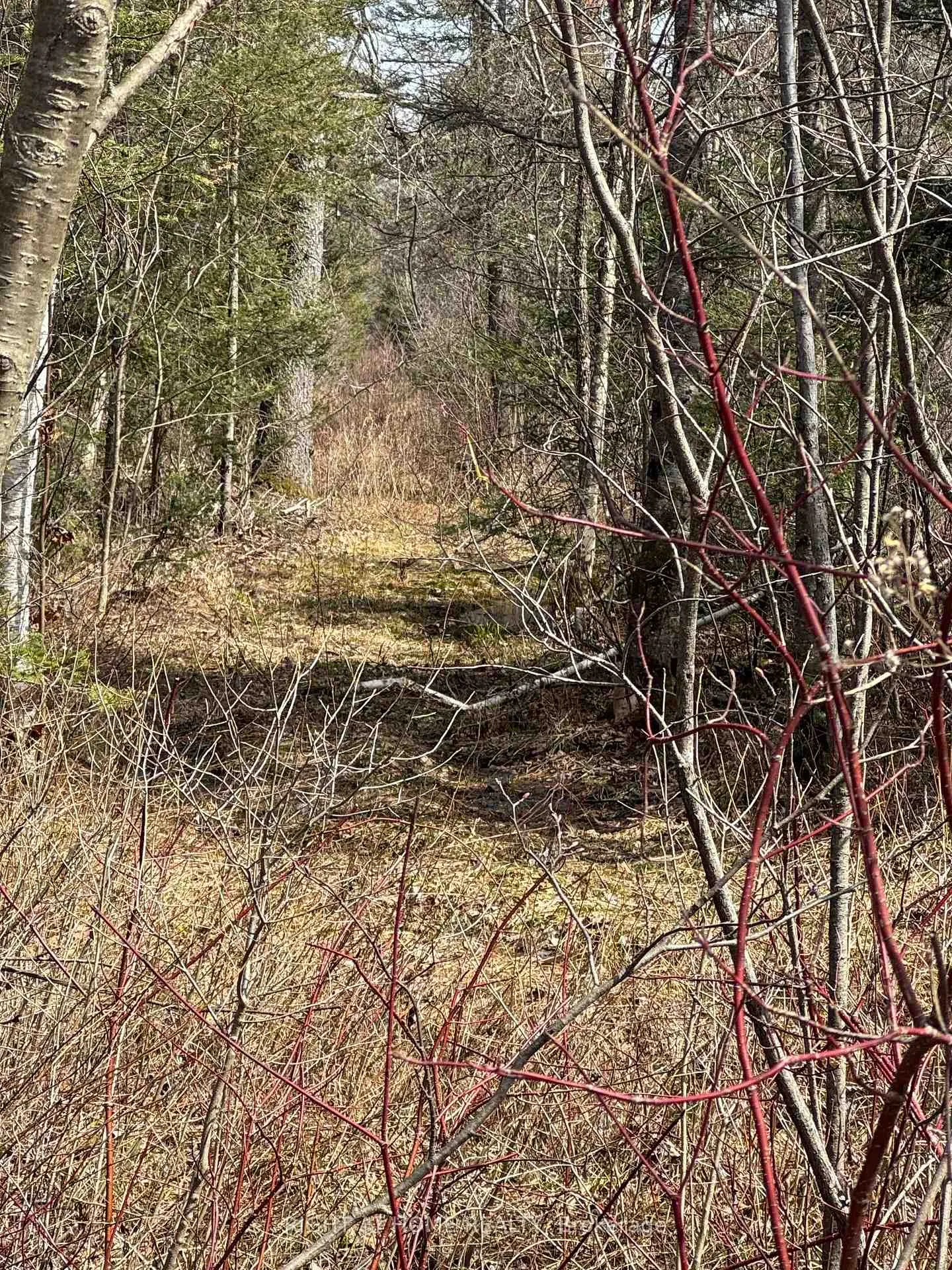 Photo 4 of 164 Riding Stable Road, West Nipissing, Sturgeon Falls — HOMEH