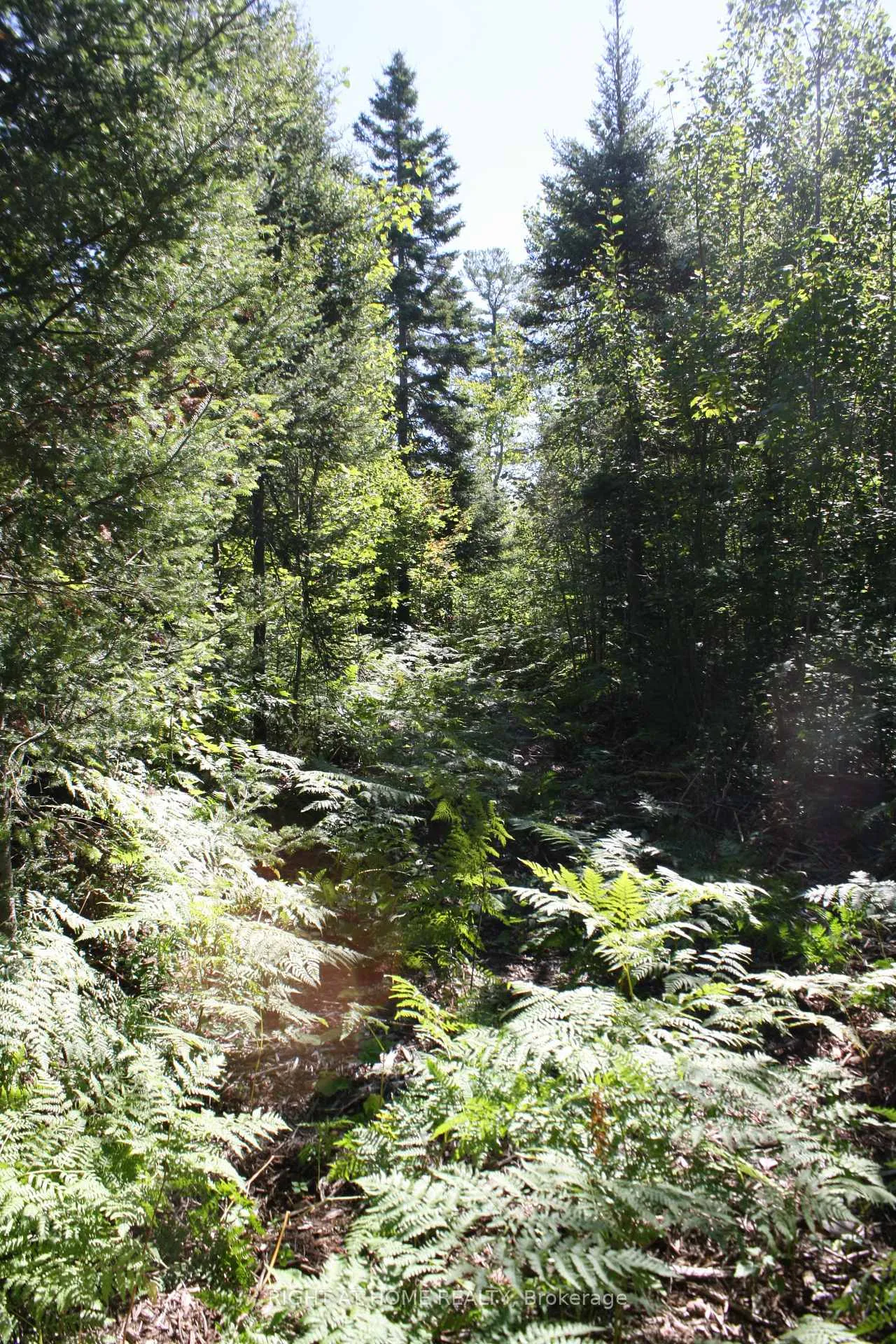 Photo 5 of 164 Riding Stable Road, West Nipissing, Sturgeon Falls — HOMEH