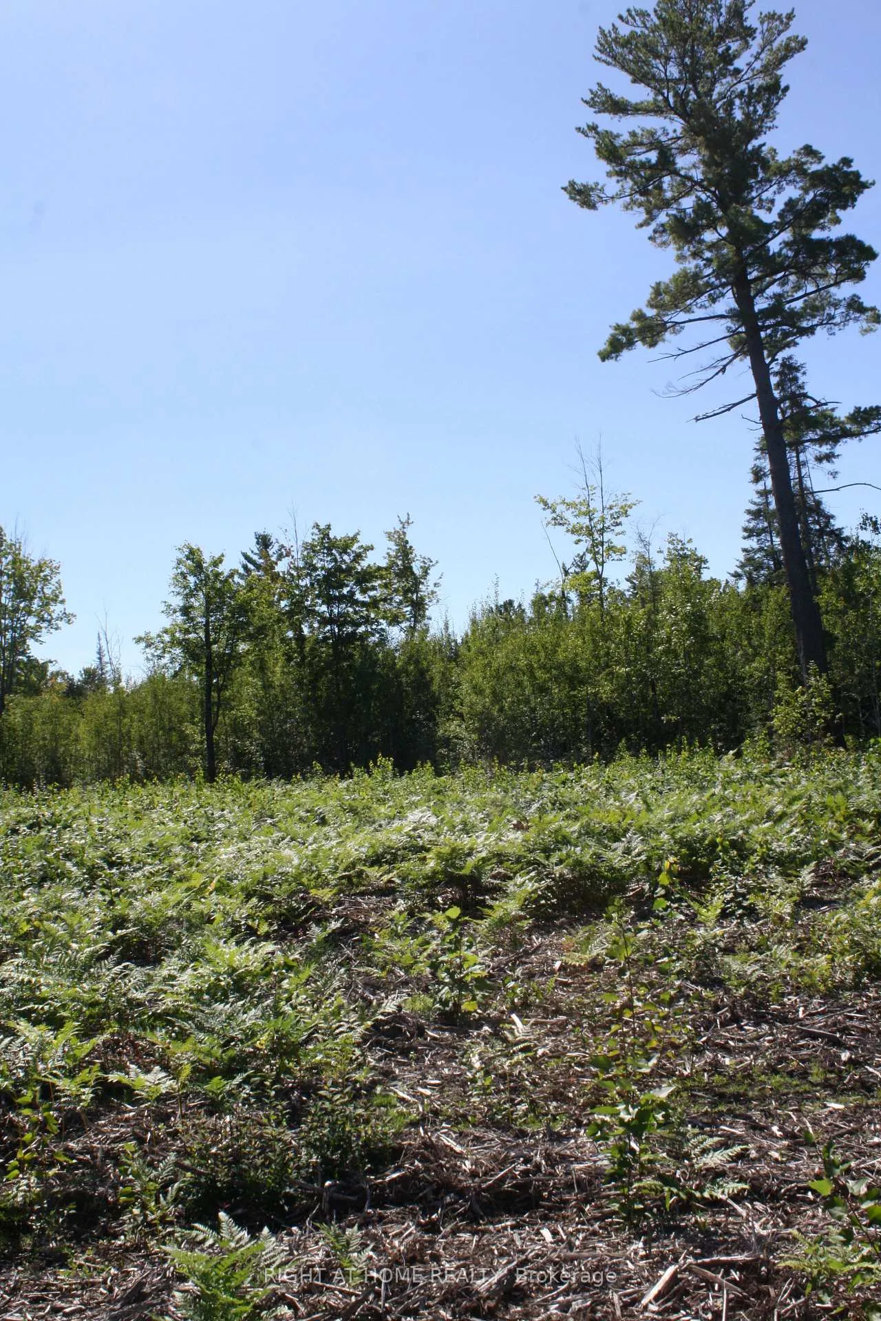 Photo 6 of 164 Riding Stable Road, West Nipissing, Sturgeon Falls — HOMEH