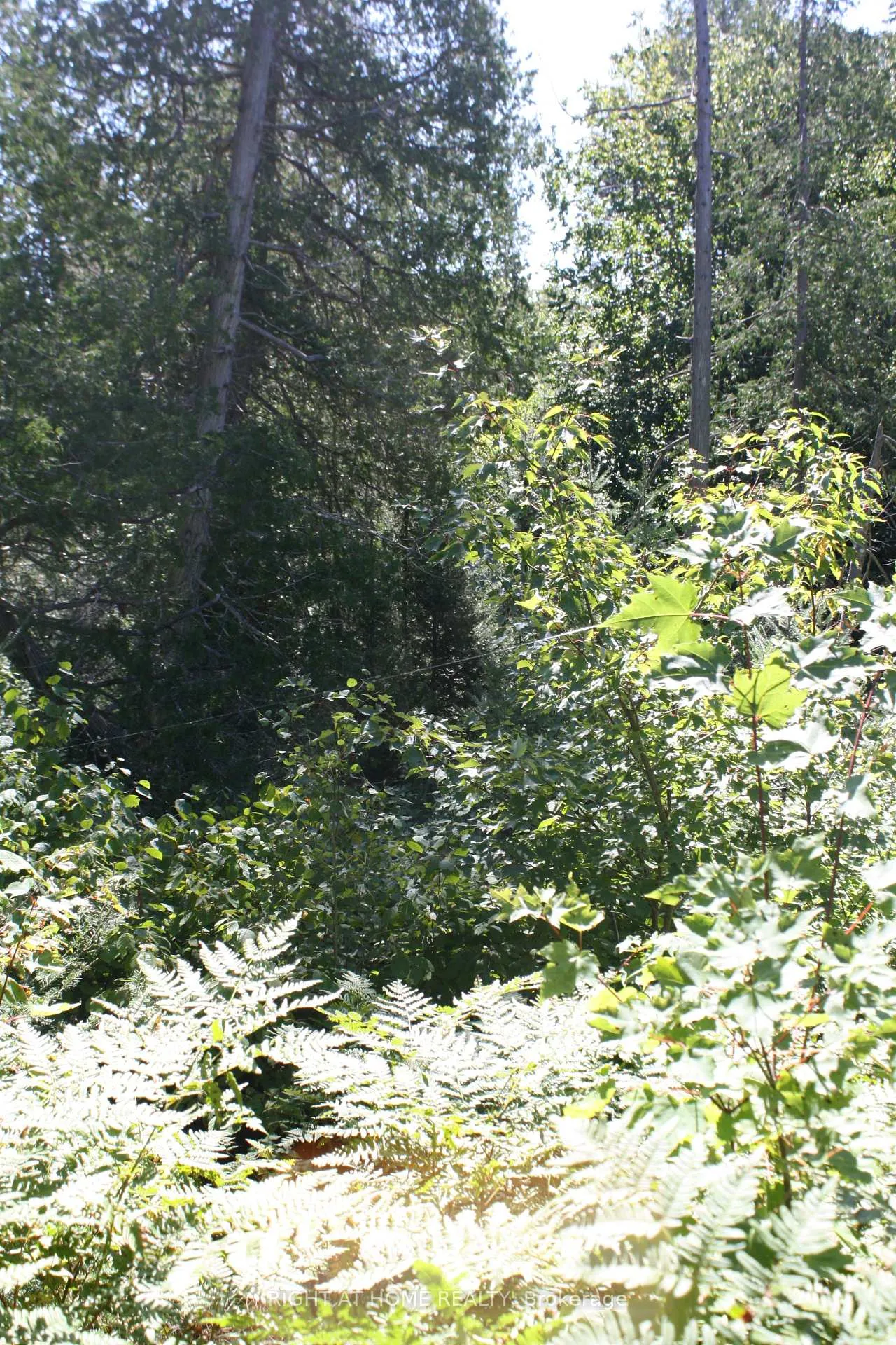 Photo 7 of 164 Riding Stable Road, West Nipissing, Sturgeon Falls — HOMEH