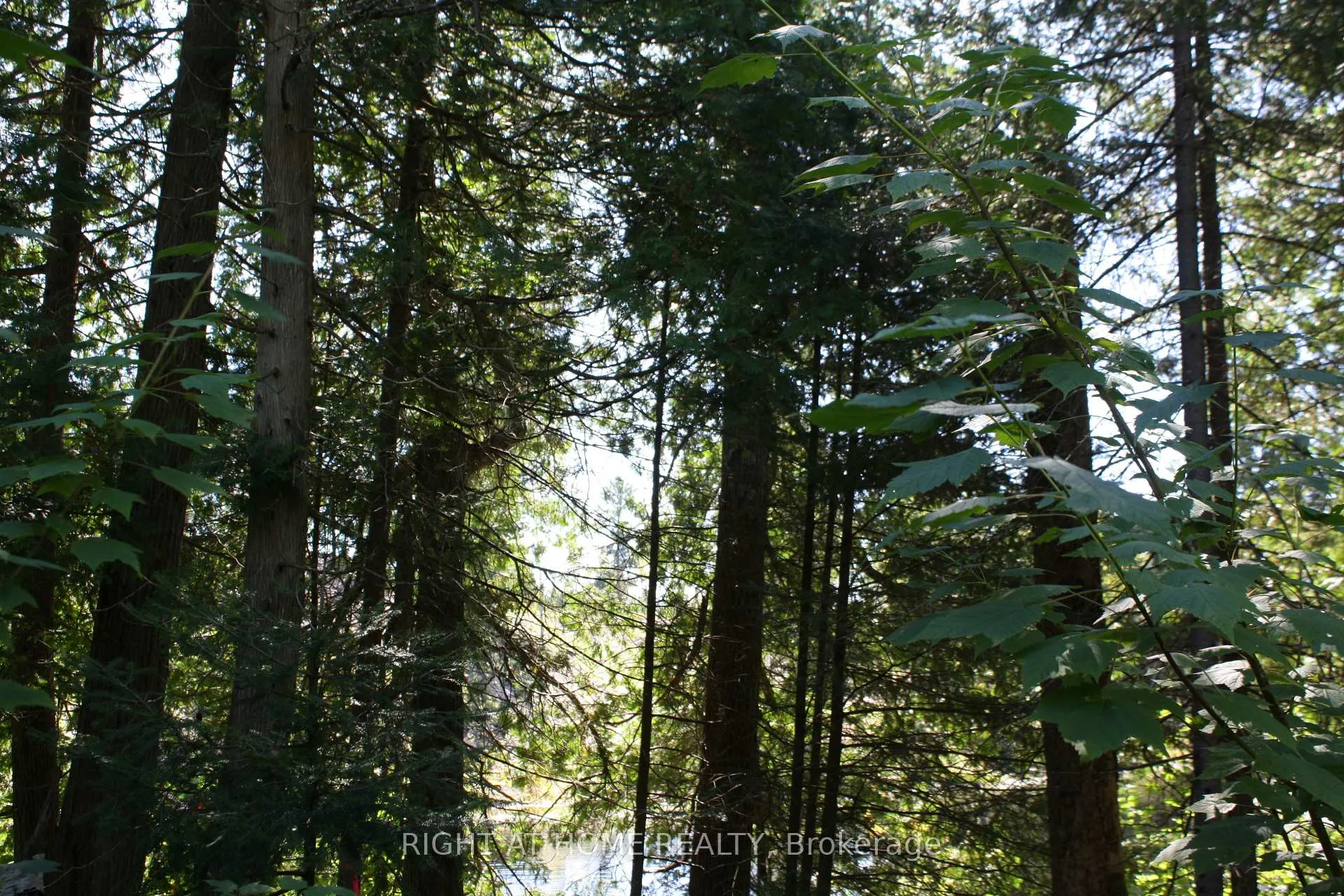 Photo 8 of 164 Riding Stable Road, West Nipissing, Sturgeon Falls — HOMEH