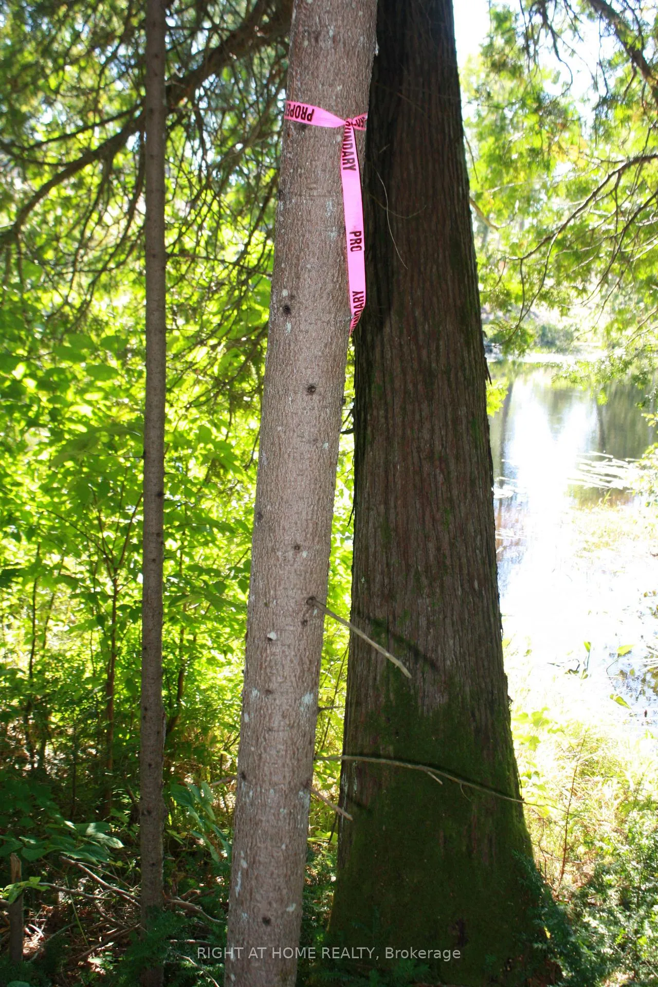 Photo 9 of 164 Riding Stable Road, West Nipissing, Sturgeon Falls — HOMEH