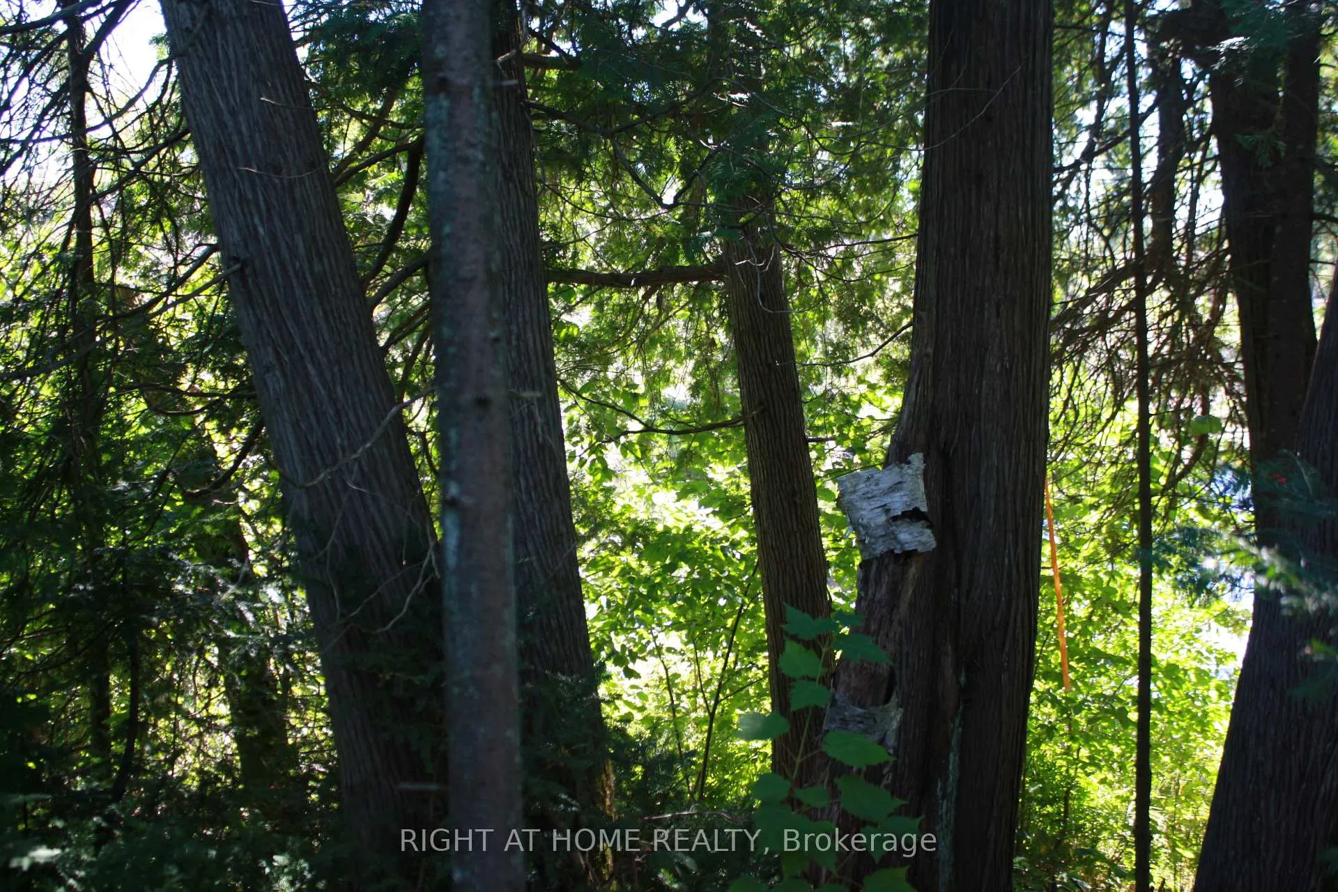 Photo 10 of 164 Riding Stable Road, West Nipissing, Sturgeon Falls — HOMEH