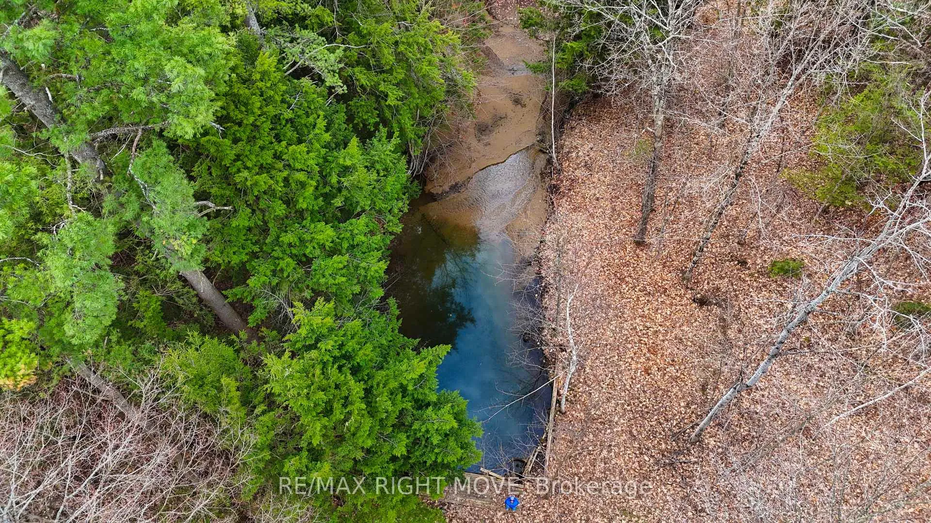 Photo 6 of 4124 Wainman Line, Severn, Bass Lake — HOMEH