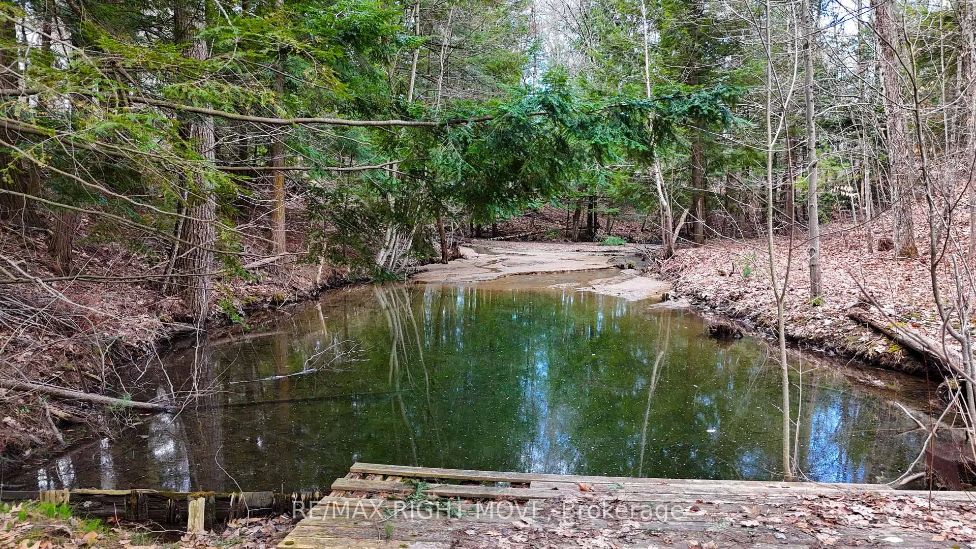 Photo 7 of 4124 Wainman Line, Severn, Bass Lake — HOMEH