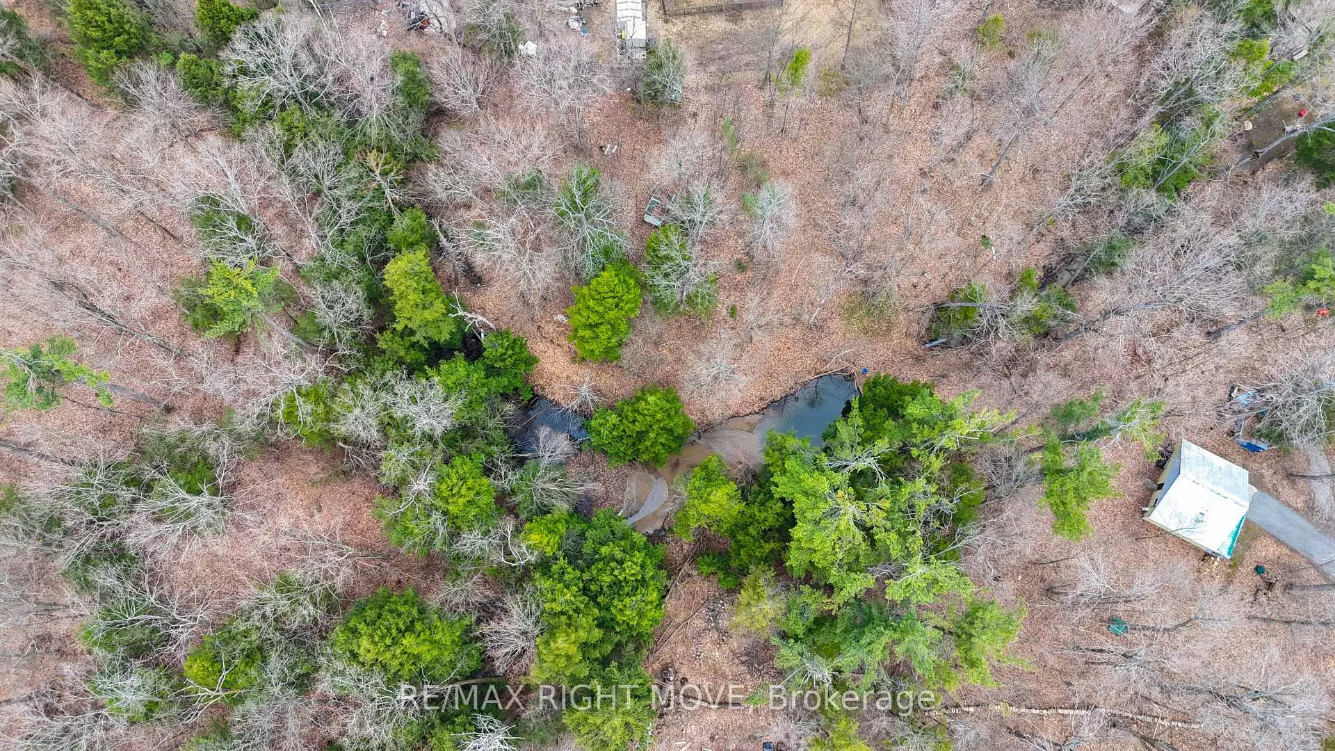 Photo 13 of 4124 Wainman Line, Severn, Bass Lake — HOMEH