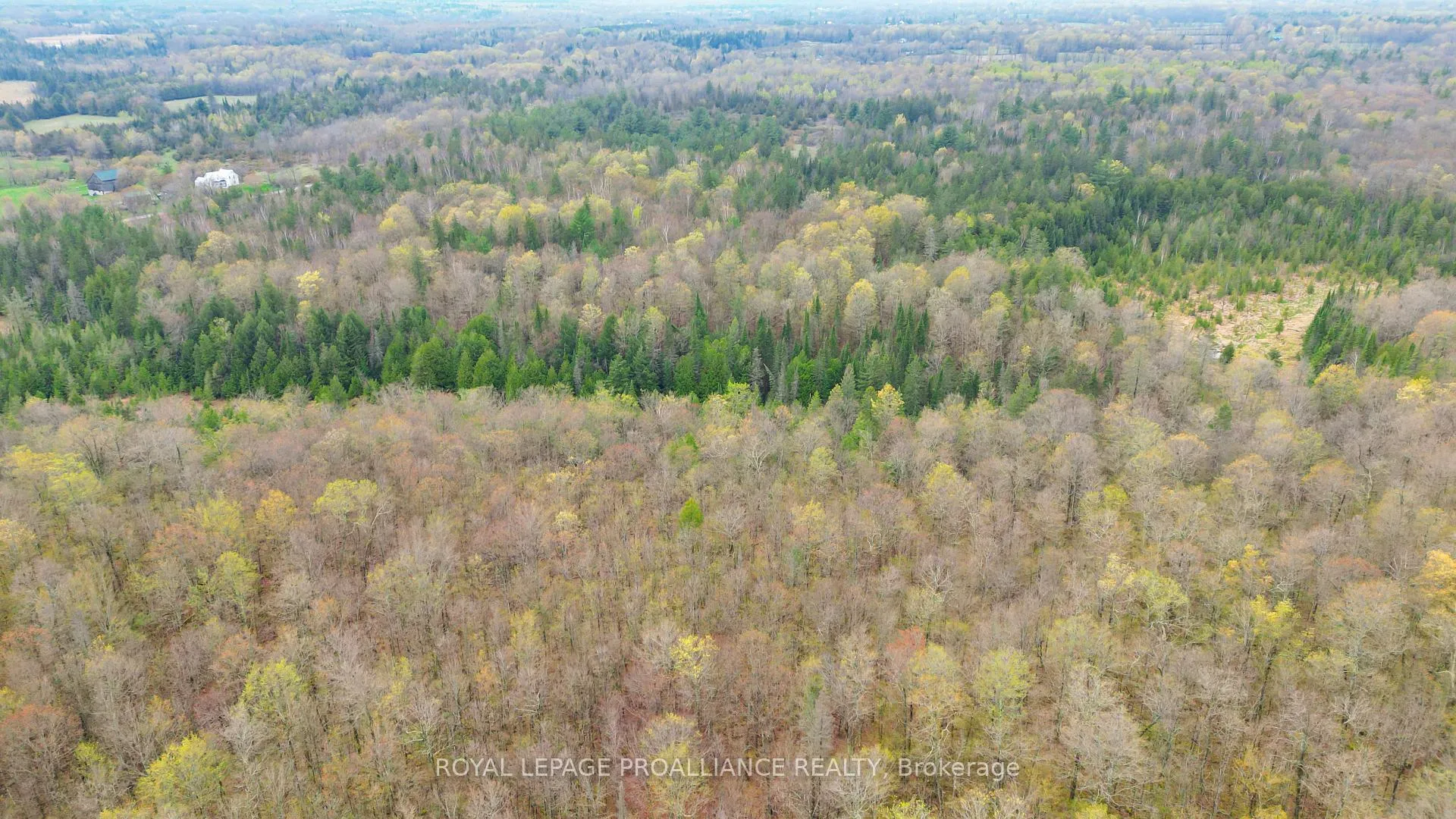 Photo 6 of Spry Settlement Road, Stirling-Rawdon, Rawdon Ward — HOMEH