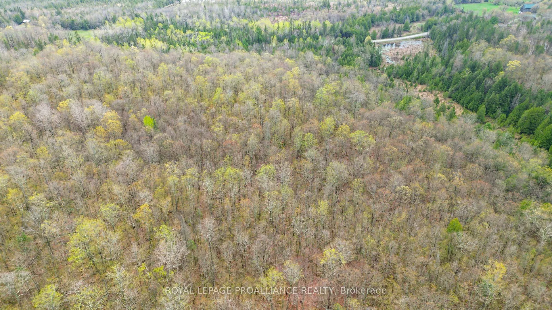 Photo 8 of Spry Settlement Road, Stirling-Rawdon, Rawdon Ward — HOMEH