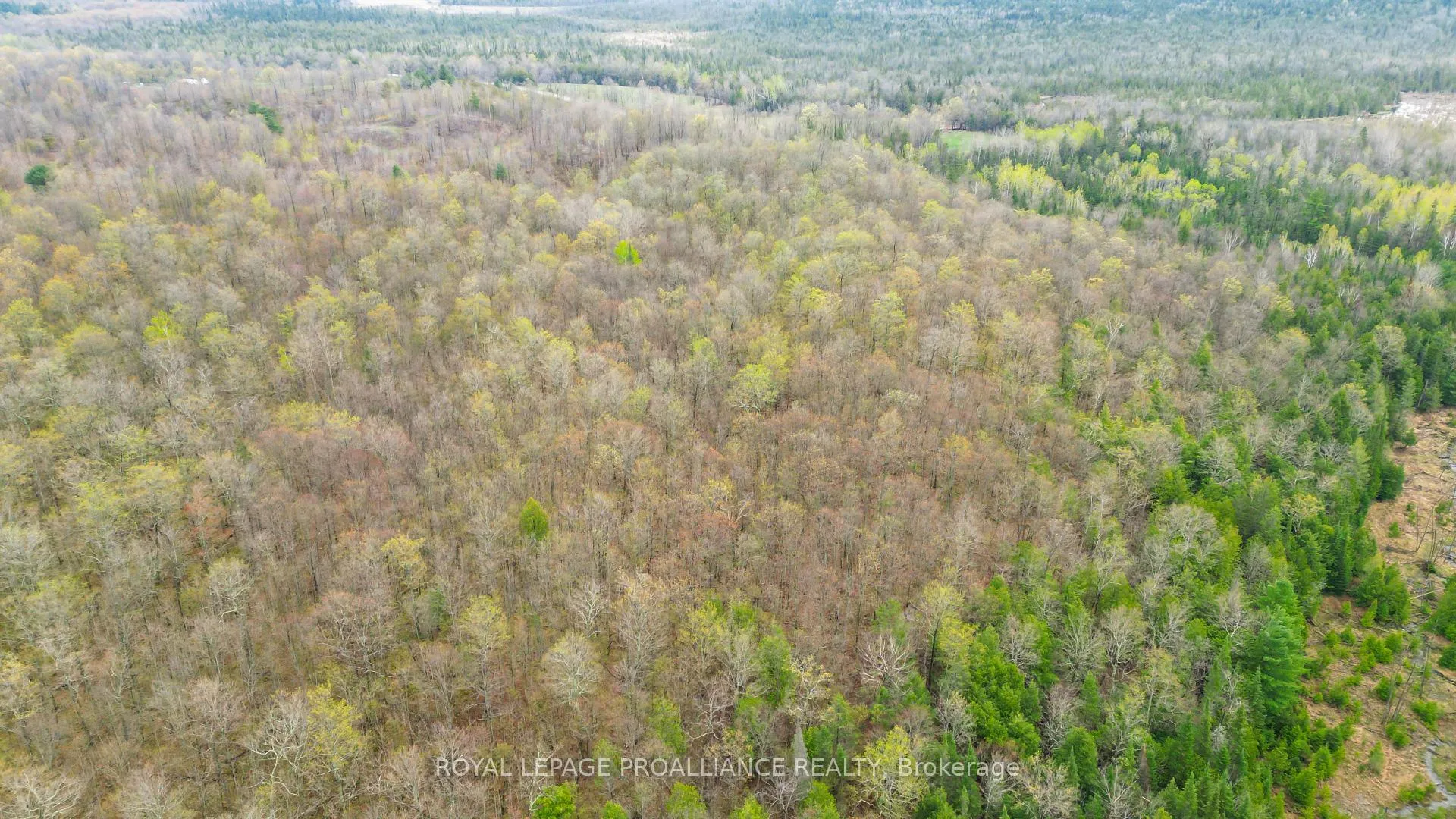 Photo 9 of Spry Settlement Road, Stirling-Rawdon, Rawdon Ward — HOMEH