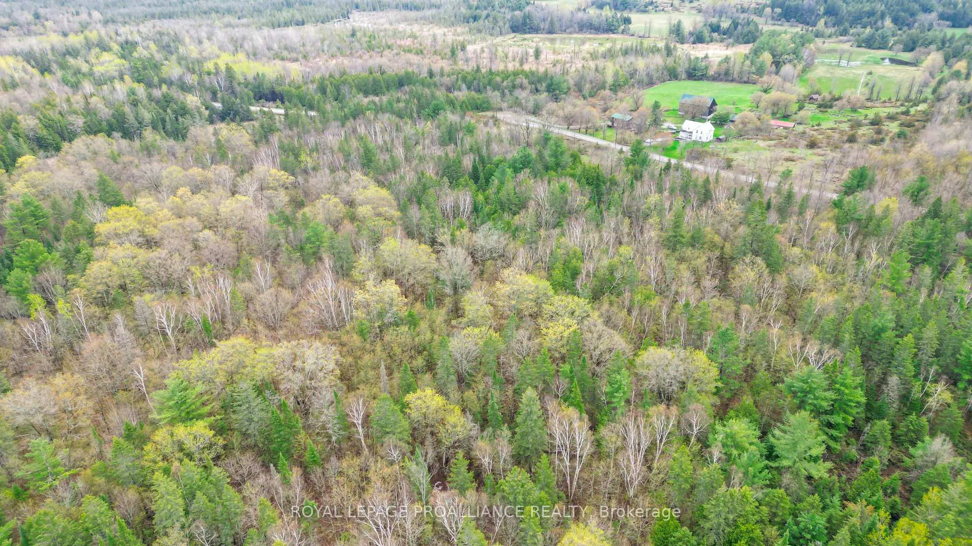Photo 13 of Spry Settlement Road, Stirling-Rawdon, Rawdon Ward — HOMEH
