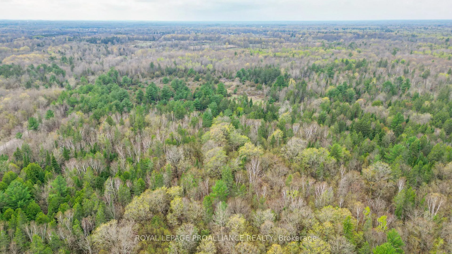 Photo 16 of Spry Settlement Road, Stirling-Rawdon, Rawdon Ward — HOMEH