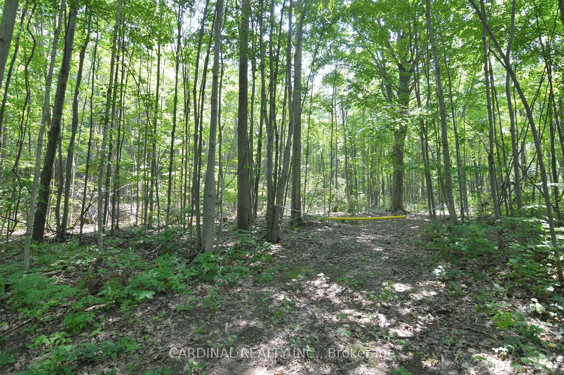 Photo 2 of Browns/George Road, Alnwick/Haldimand, Rural Alnwick/Haldimand — HOMEH