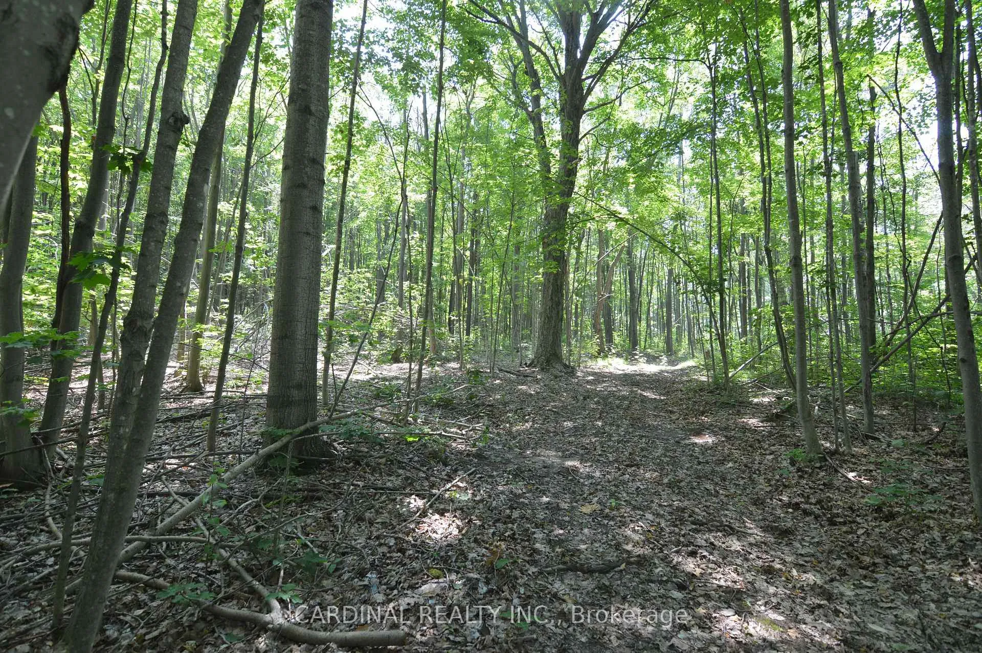 Photo 3 of Browns/George Road, Alnwick/Haldimand, Rural Alnwick/Haldimand — HOMEH