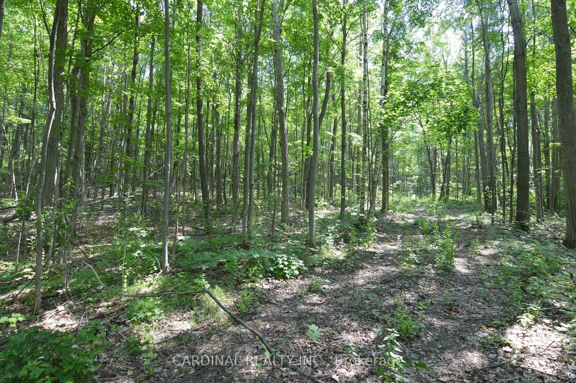 Photo 4 of Browns/George Road, Alnwick/Haldimand, Rural Alnwick/Haldimand — HOMEH