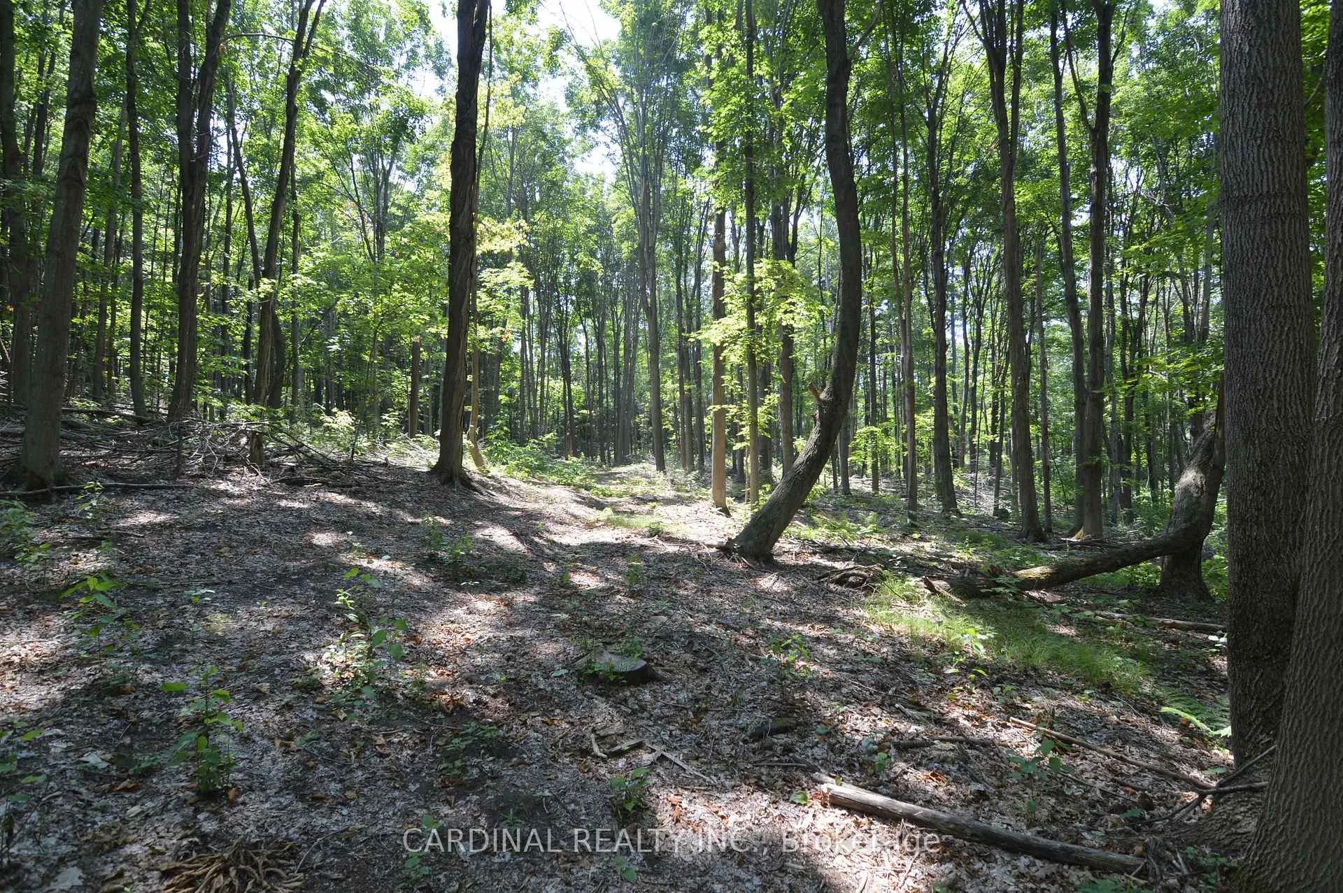 Photo 5 of Browns/George Road, Alnwick/Haldimand, Rural Alnwick/Haldimand — HOMEH