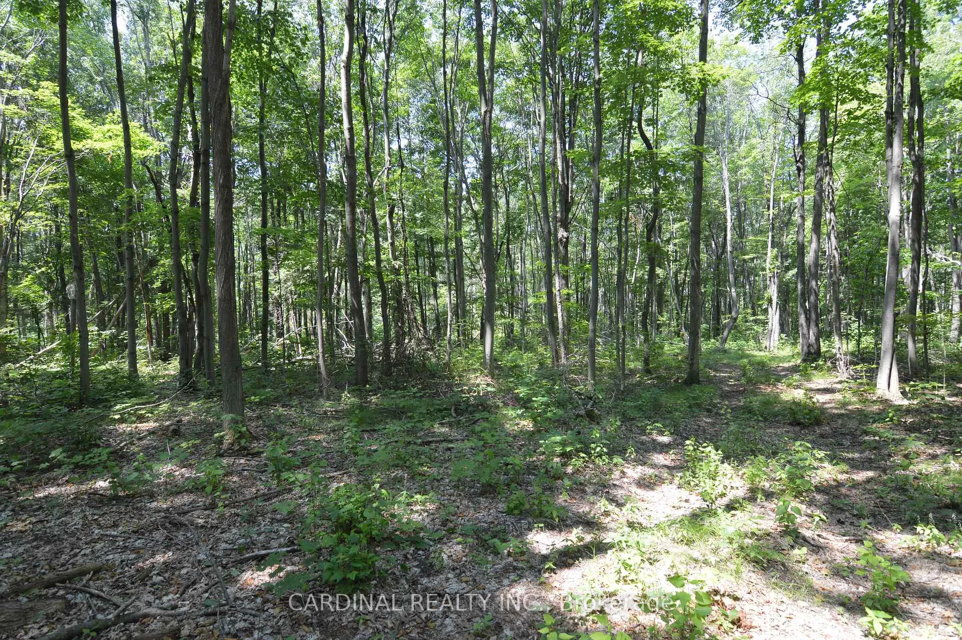 Photo 6 of Browns/George Road, Alnwick/Haldimand, Rural Alnwick/Haldimand — HOMEH