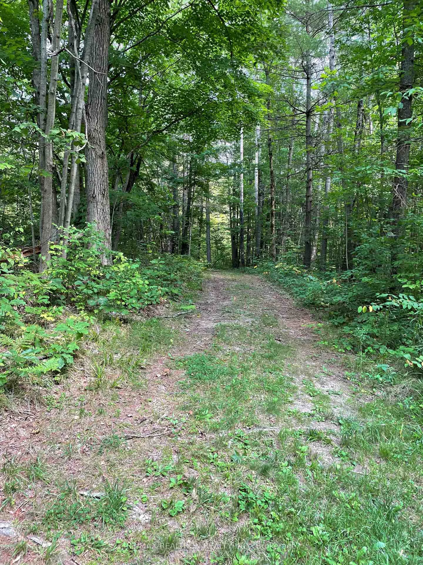 Photo 6 of 000 Green Place Road, Gravenhurst, Wood (Gravenhurst) — HOMEH