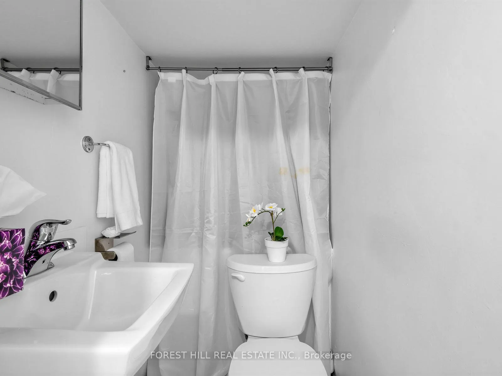 Photo 26 of 163 Rushton Road, Toronto, Wychwood — HOMEH
