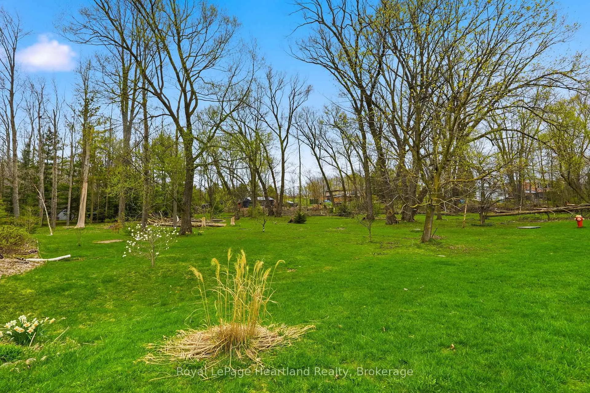 Photo 22 of 21 Brown Street S, Minto — HOMEH