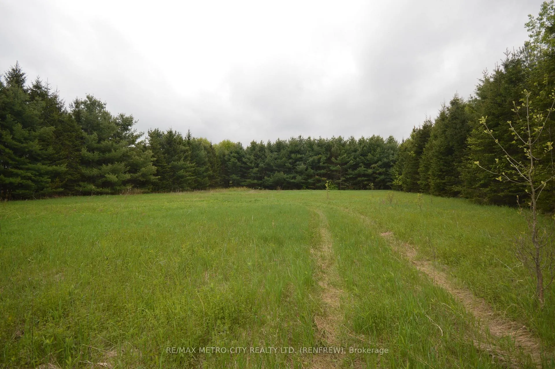 Photo 5 of 00 River Road, Horton, Horton Twp — HOMEH