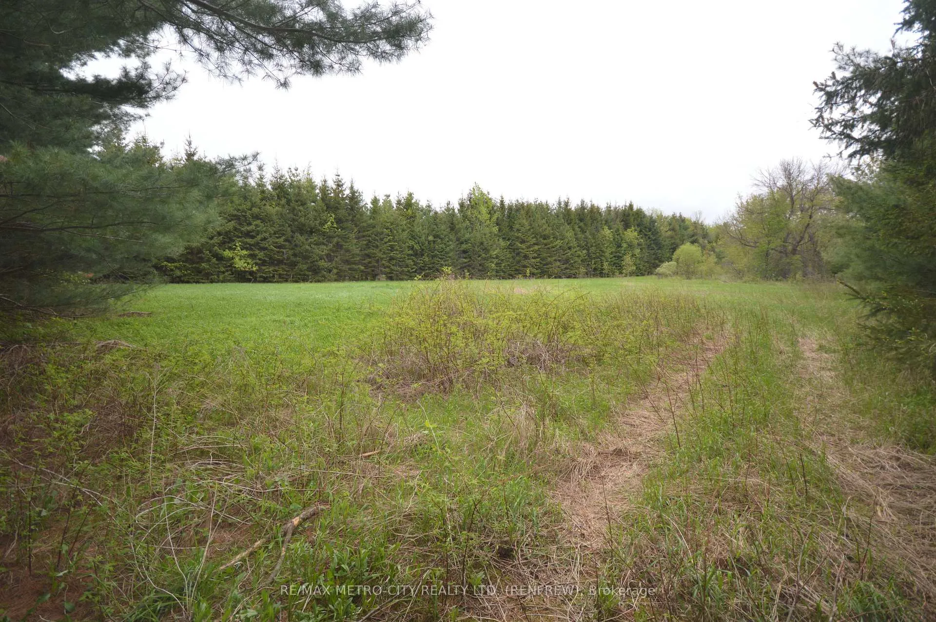 Photo 6 of 00 River Road, Horton, Horton Twp — HOMEH
