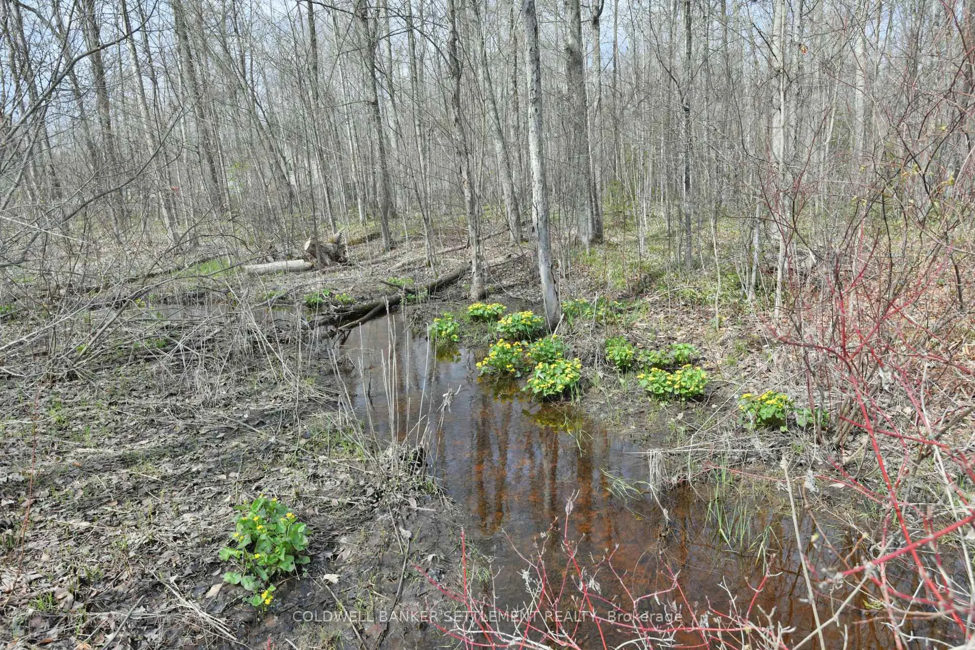 Photo 42 of 8857 Malloch Lane, Ottawa, Btwn Franktown Rd. & Fallowfield Rd. — HOMEH