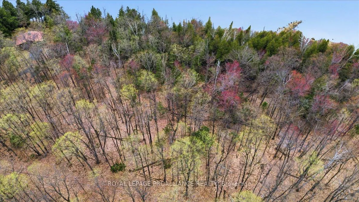 Photo 3 of Rekrview Lane, North Frontenac, Frontenac North — HOMEH