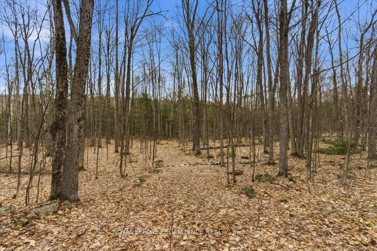 Photo 5 of Rekrview Lane, North Frontenac, Frontenac North — HOMEH