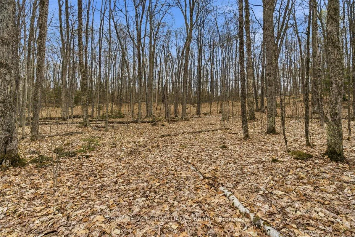 Photo 6 of Rekrview Lane, North Frontenac, Frontenac North — HOMEH